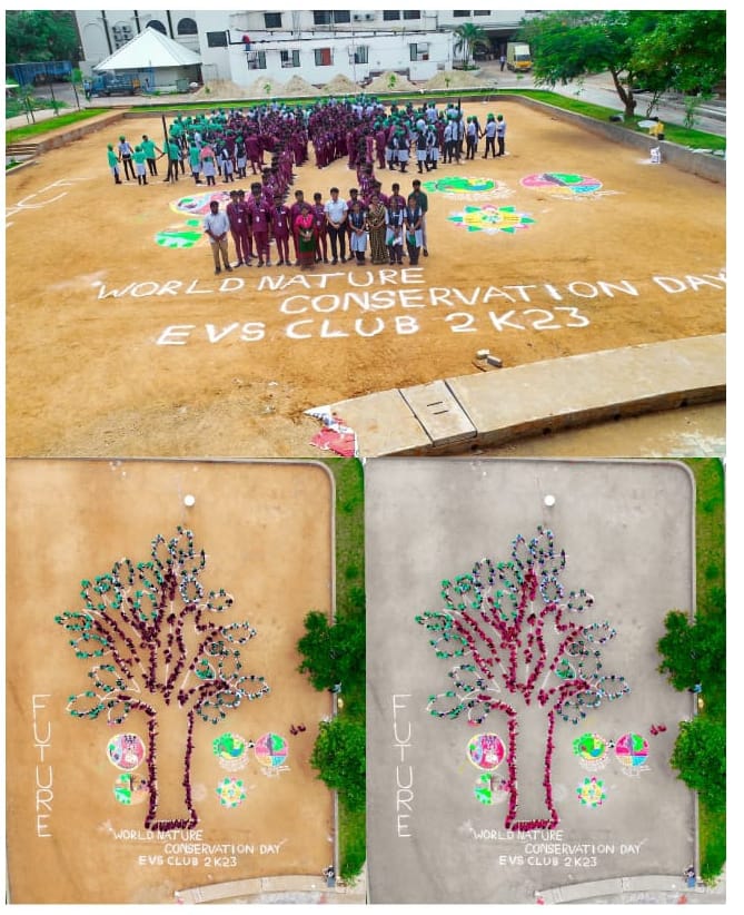 world nature conservation day drawing/Energy Conservation Day Drawing/Energy  Conservation Day Poster