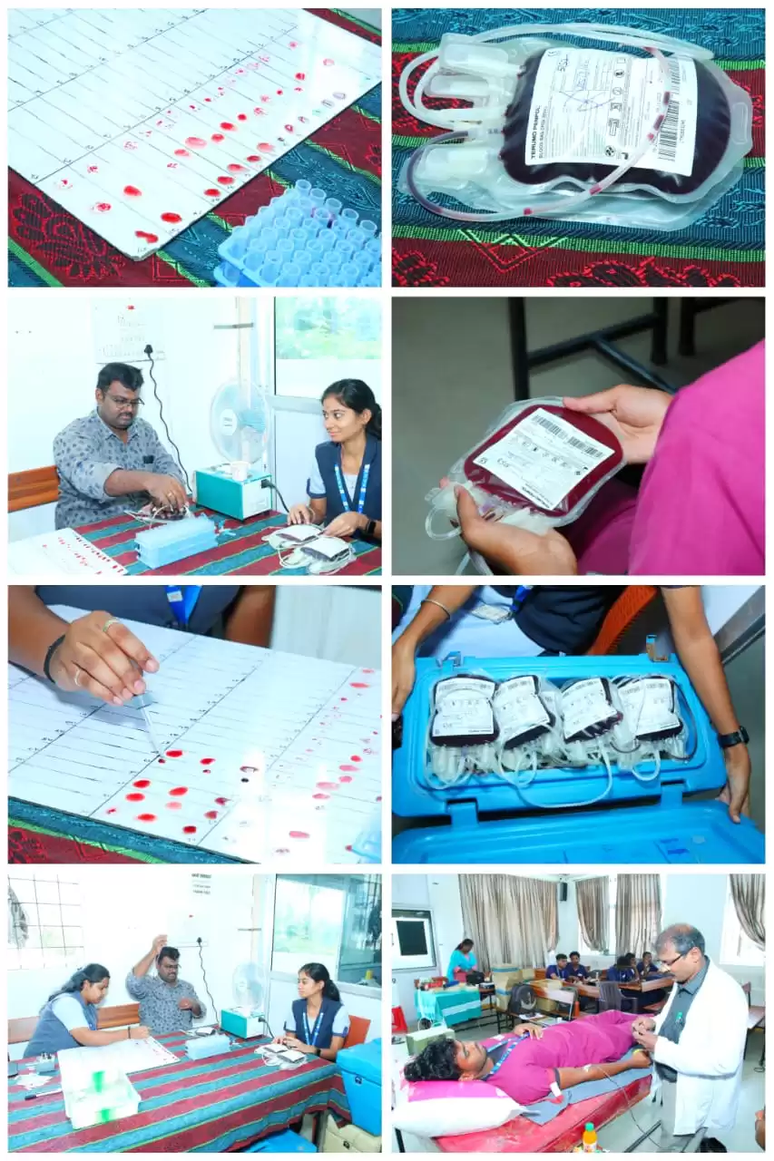 Co Curricular Activities