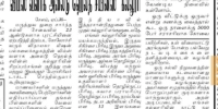 Newspaper